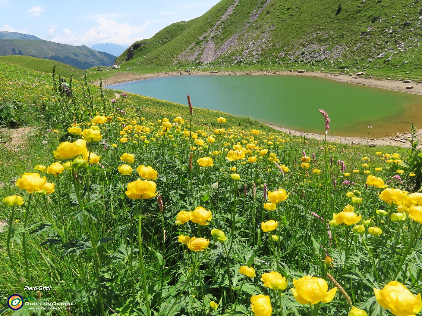 52 Tra distese di splendide fioriture il Lago Branchino.JPG